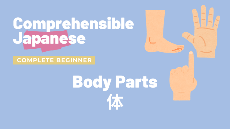 体 Body Parts