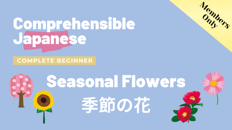 季節の花 Seasonal Flowers