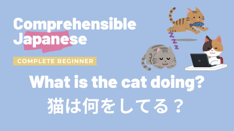 猫は何をしてる？ What is the cat doing?