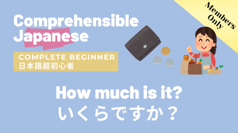 いくらですか？ How much is it?