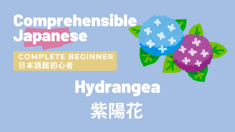 紫陽花 Hydrangea