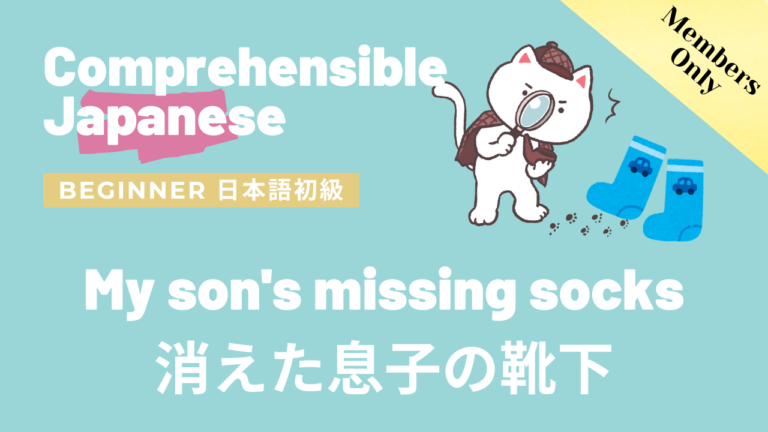 消えた息子の靴下 My son’s missing socks