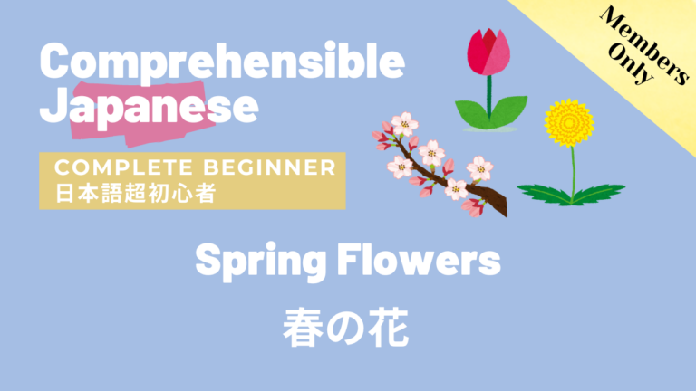春の花 Spring Flowers